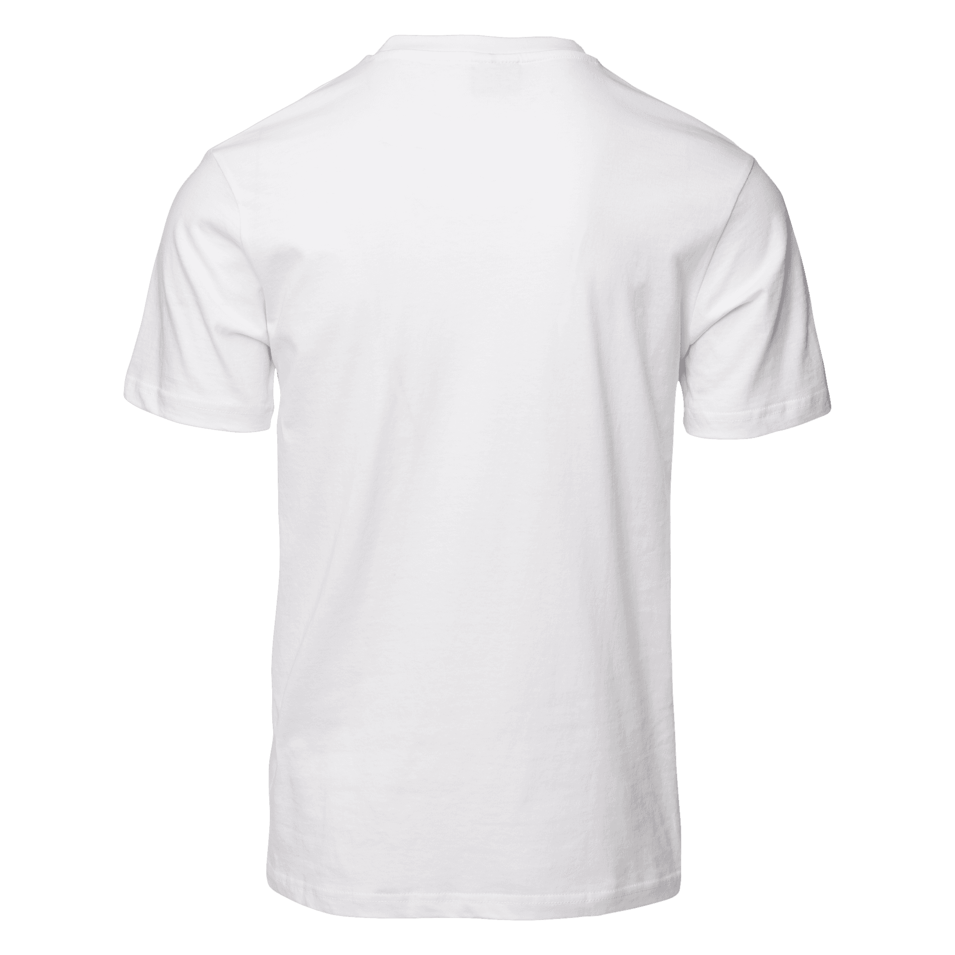 Męska koszulka z krótkim rękawem Playo 5