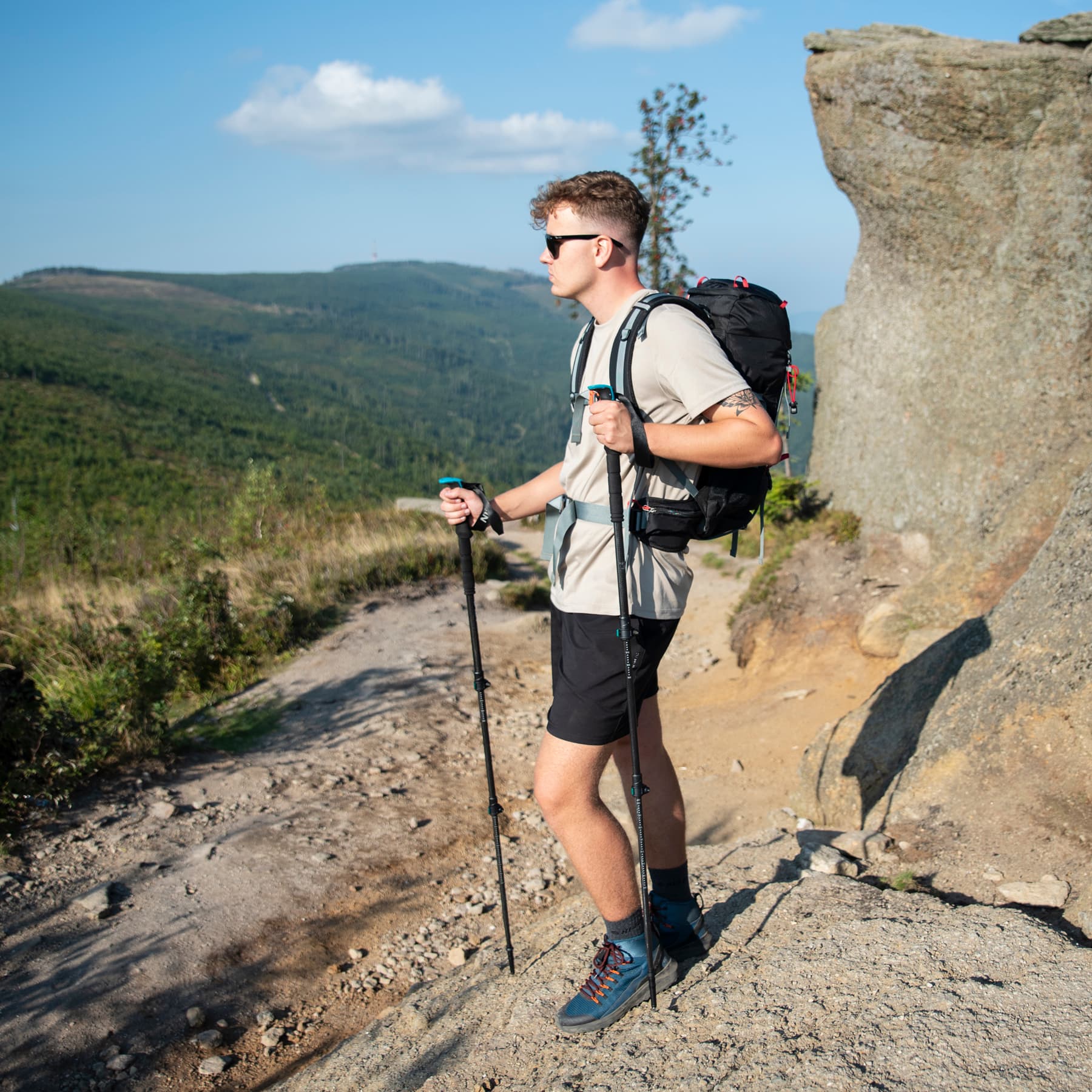 Kije trekkingowe Nils TK8607 z włókna węglowego 8