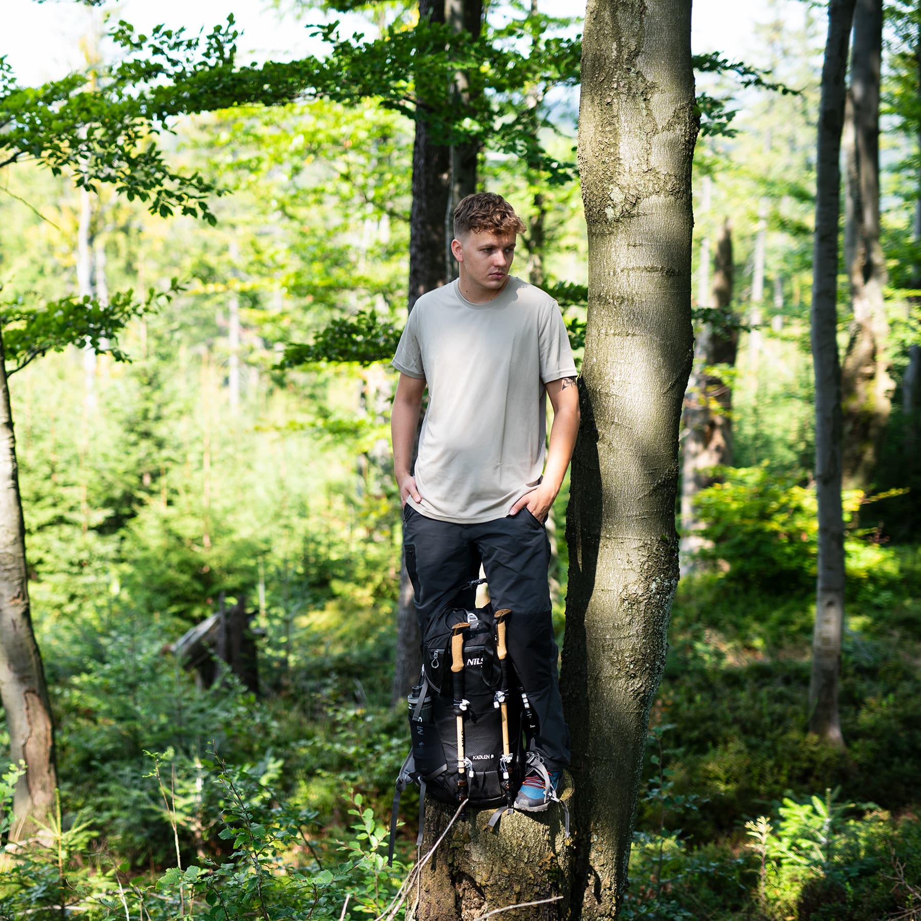 Plecak turystyczny Nils Camp Kjolen 40L czarny 9