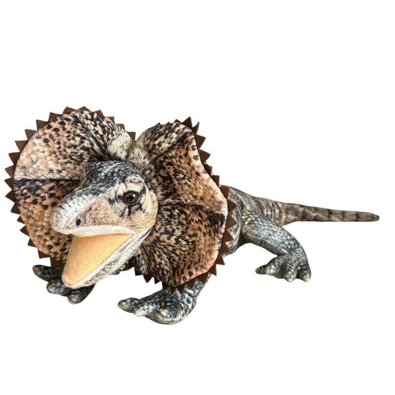 Agama obraz 65 cm reprodukcja dzieła sztuki