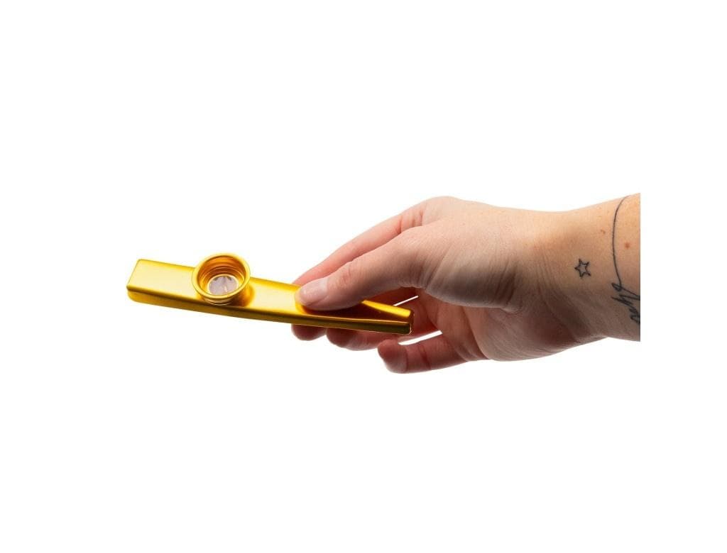 Kazoo instrument muzyczny dęty dla dzieci i dorosłych