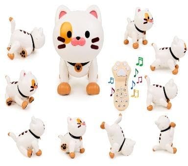 Robot interaktywny Robokot RC z pilotem i efektami dźwiękowymi