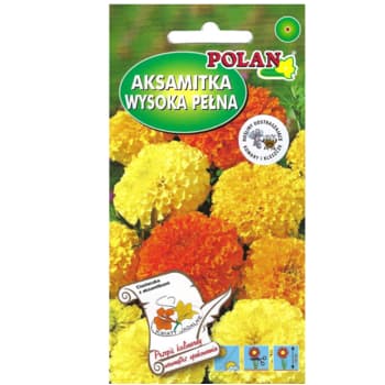 Aksamitka wyniosła mieszanka kwiatów 2