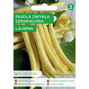 Fasola szparagowa Laurina średniowczesna jasnożółta bezwłóknista 3