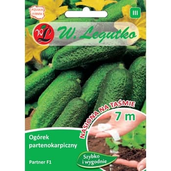 Nasiona ogórka gruntowego partenokarpicznego na taśmie 3