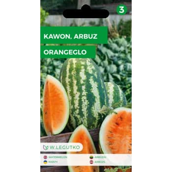 Arbuz Kawon Orangeglo o pomarańczowym miąższu 3