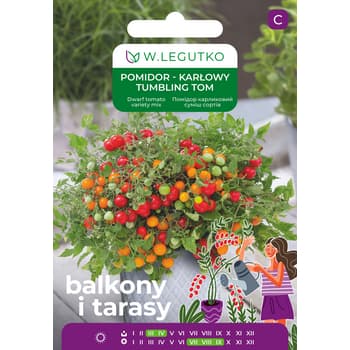 Pomidor Karłowy Tumbling Tom 2