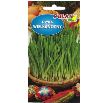Nasiona owsa Polan do wysiewu na Wielkanoc 2