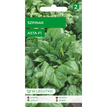 Szpinak Asta F1 do uprawy wiosennej i jesiennej 3