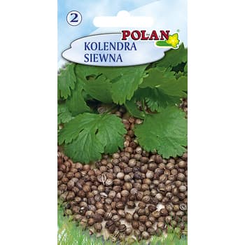 Nasiona Kolendry Siewnej Polan do uprawy 2