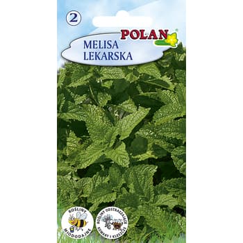 Melisa lekarska Polan - roślina wieloletnia miododajna 3