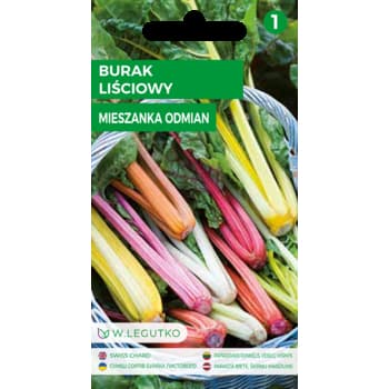 Burak liściowy mieszanka nasion Legutko 3