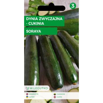 Dynia zwyczajna cukinia Soraya wczesna odmiana 3