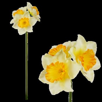 Sztuczny żonkil potrójny w bukiecie 42 cm 3