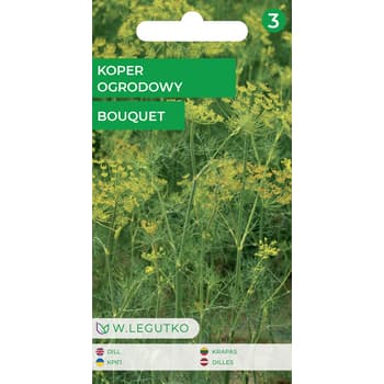 Koper ogrodowy Bouquet - wczesna odmiana do uprawy w doniczkach 2