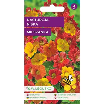 Nasturcja Niska Mieszanka Kolorów 30-40 cm 2