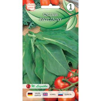 Szczaw zwyczajny wczesny do zup i sałatek 3