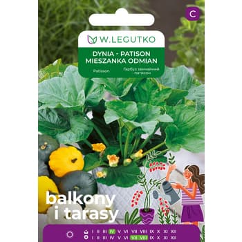 Dynia Patison Mieszanka Odmian Wczesna Plenna 2