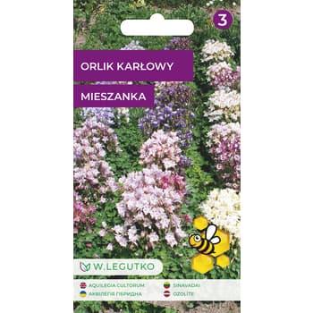 Orlik karłowy mieszanka nasion kwiatów wieloletnich 2