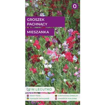 Groszek pachnący mieszanka nasion kwiatów jednorocznych 2