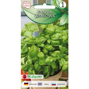 Bazylia właściwa Legutko - roślina jednoroczna do przypraw 2