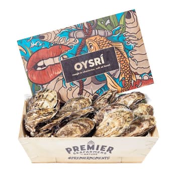 Ostrzygi Oysri nr 2 świeże owoce morza 2