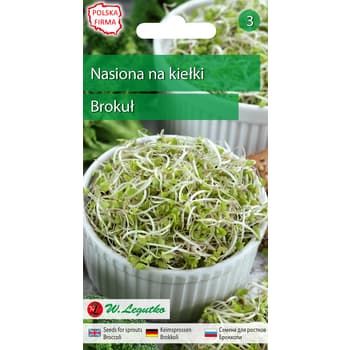 Nasiona brokułu na kiełki do uprawy w słoiku 2