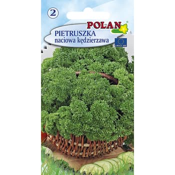 Pietruszka naciowa Moss Curled Polan średnio wczesna 2