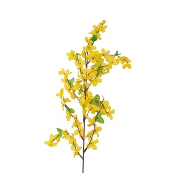 Żółta gałązka forsycji z zielonymi listkami 55 cm 2