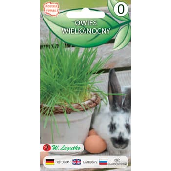 Owies wielkanocny Legutko do dekoracji 2