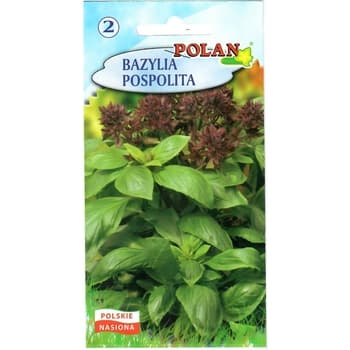 Bazylia pospolita Polan - aromatyczna przyprawa do potraw 3