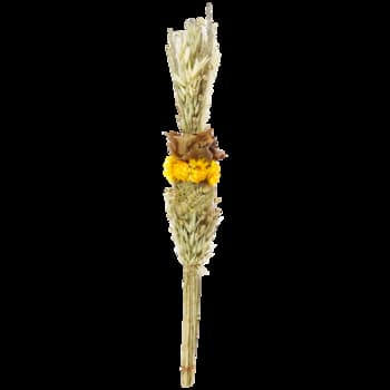 Słoik do barwienia preparatów Hausser-Gedigk ze stali nierdzewnej 3