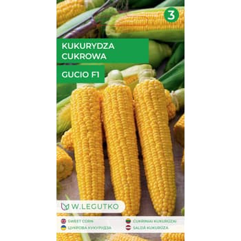 Kukurydza cukrowa Cykrowa Guciu wczesna odmiana 2