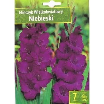 Mieczyk Niebieski Benex - cebulki kwiatowe 2