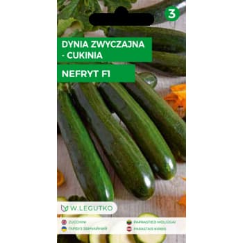 Dynia zwyczajna cukinia Nefryt F1 wczesna plenna odmiana 3