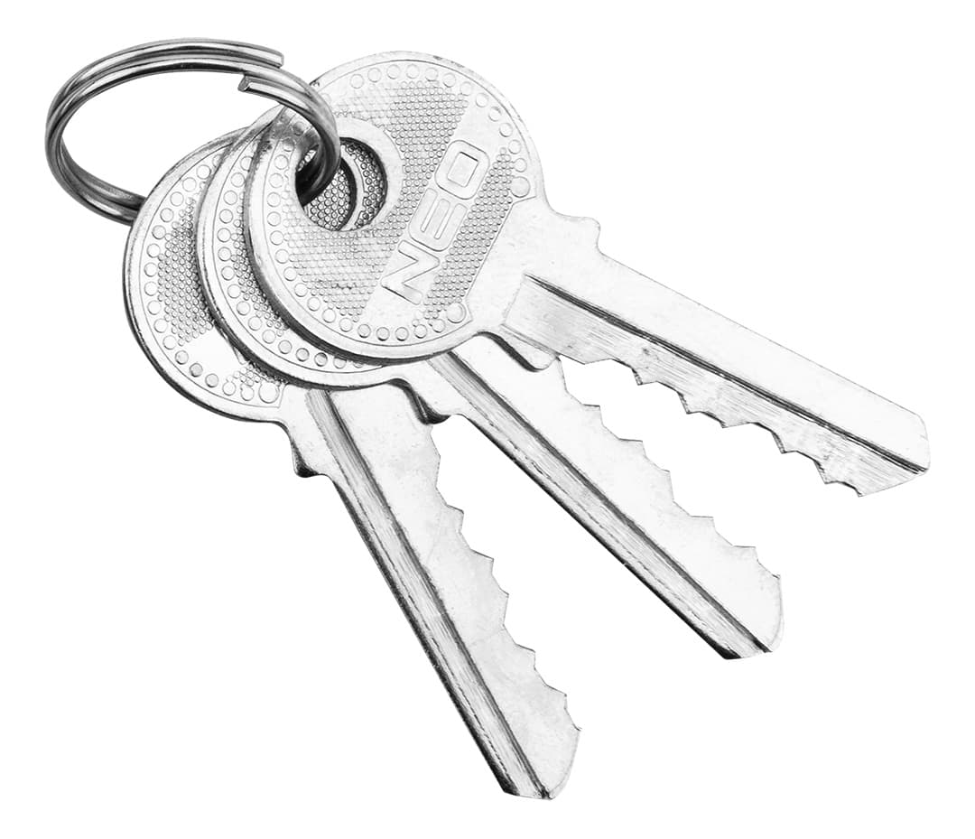 Kłódka żeliwna 50 mm z trzema kluczami 5