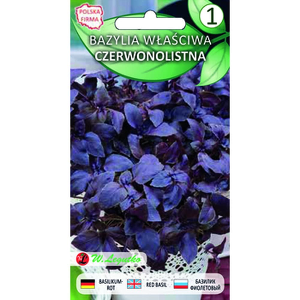 Bazylia właściwa czerwonolistna roślina jednoroczna