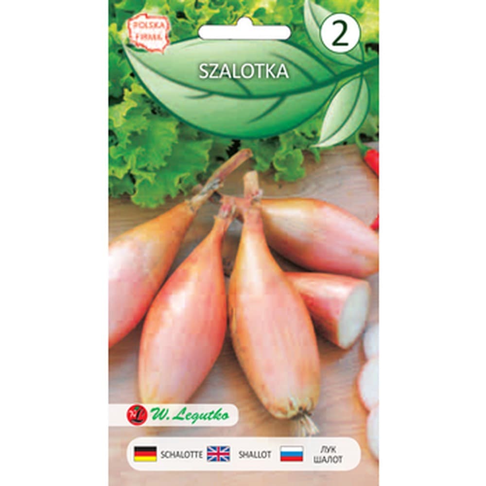 Cebula szalotka Legutko do uprawy w ogrodzie