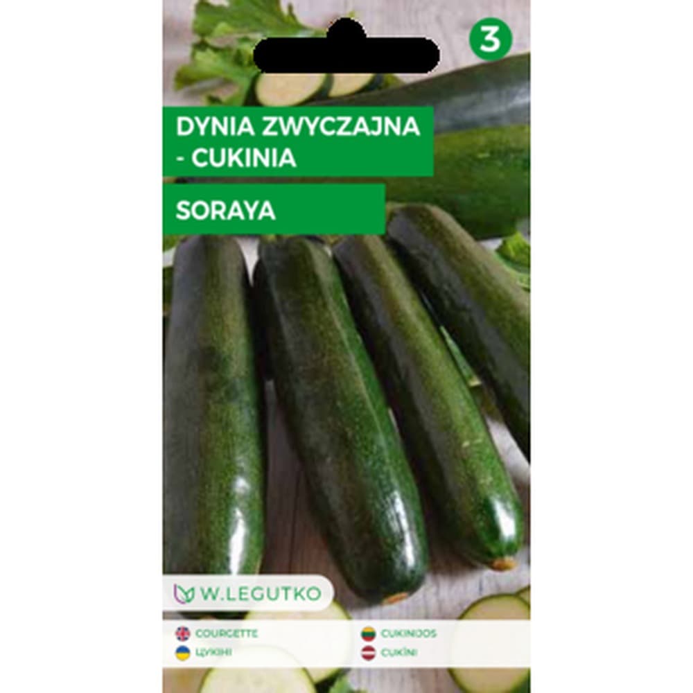 Dynia zwyczajna cukinia Soraya wczesna odmiana