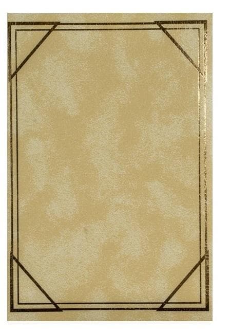 Kieszonkowy album na zdjęcia szyty Vinyl 300 zdjęć