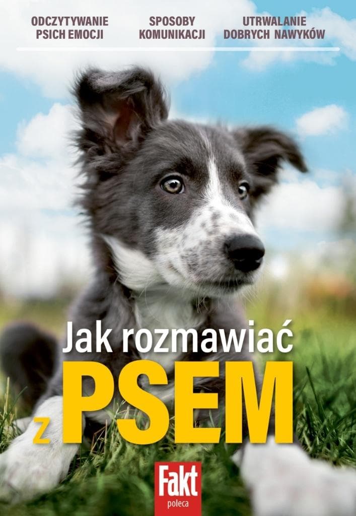 Jak rozmawiać z psem - praktyczny poradnik dla właścicieli