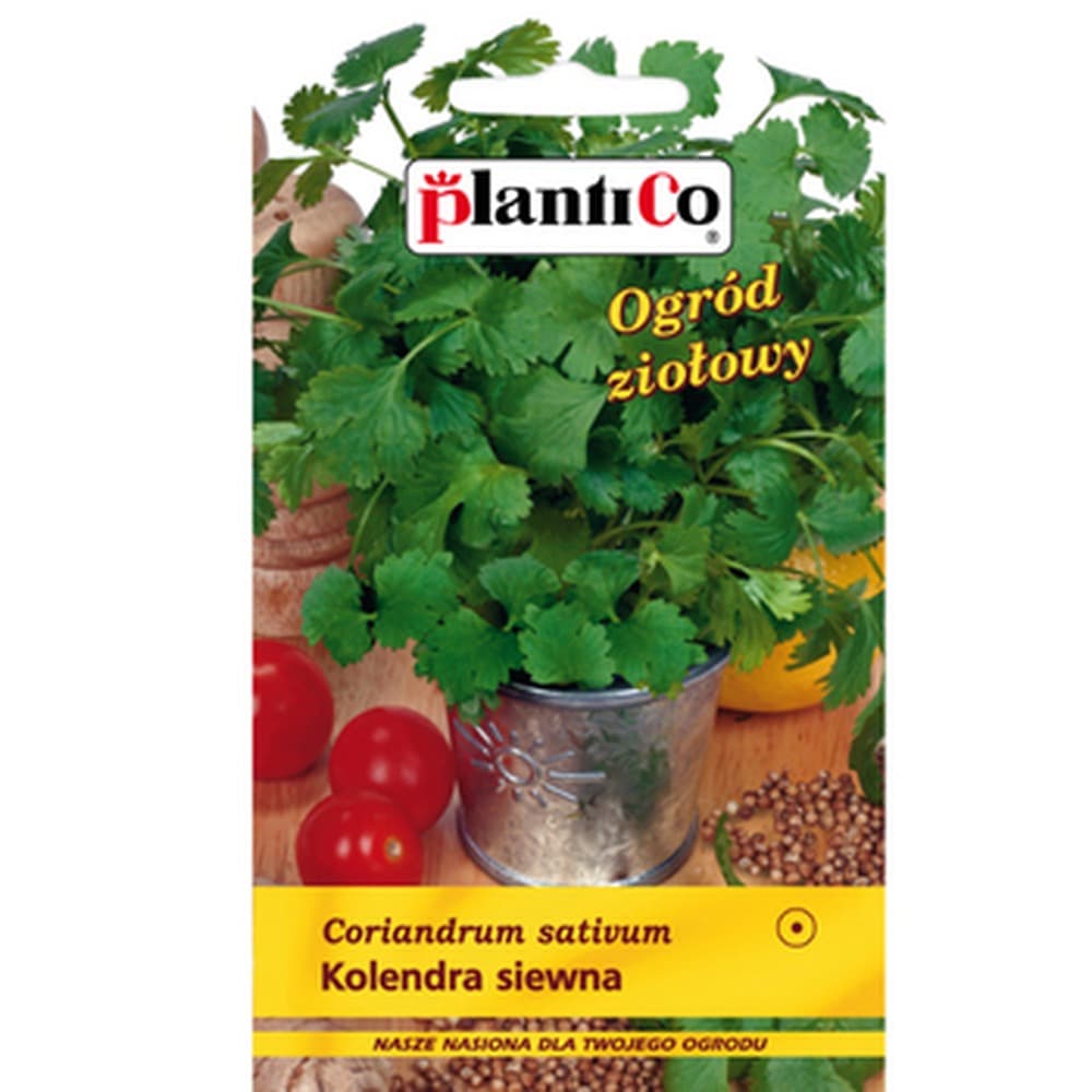 Kolendra siewna PlantiCo - aromatyczne zioła jednoroczne