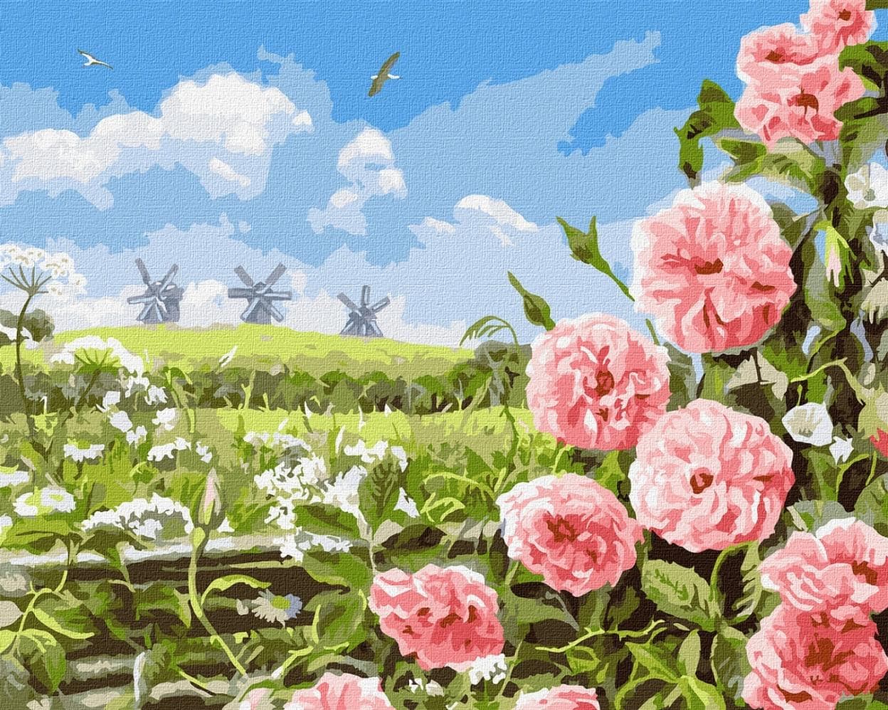 Malowanie po numerach Delikatność pól 40 x 50 cm