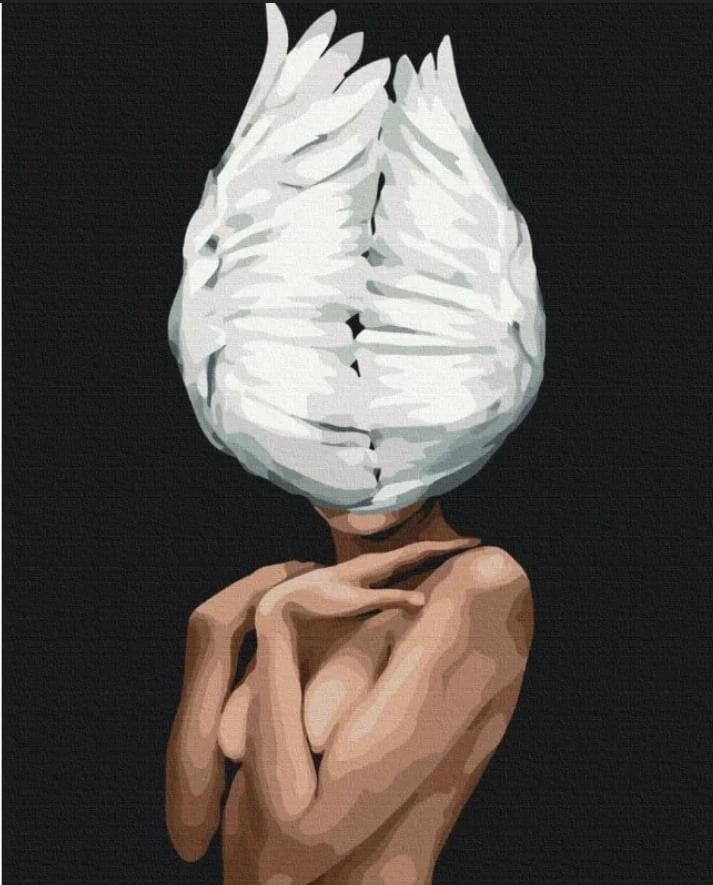 Malowanie po numerach Pióra w głowie 40 x 50 cm