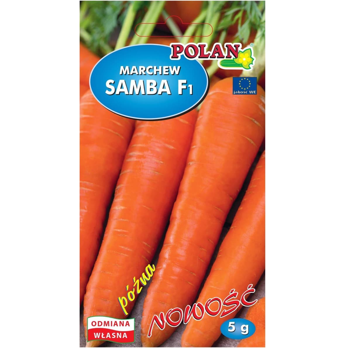 Marchew jadalna Samba F1 późna odmiana