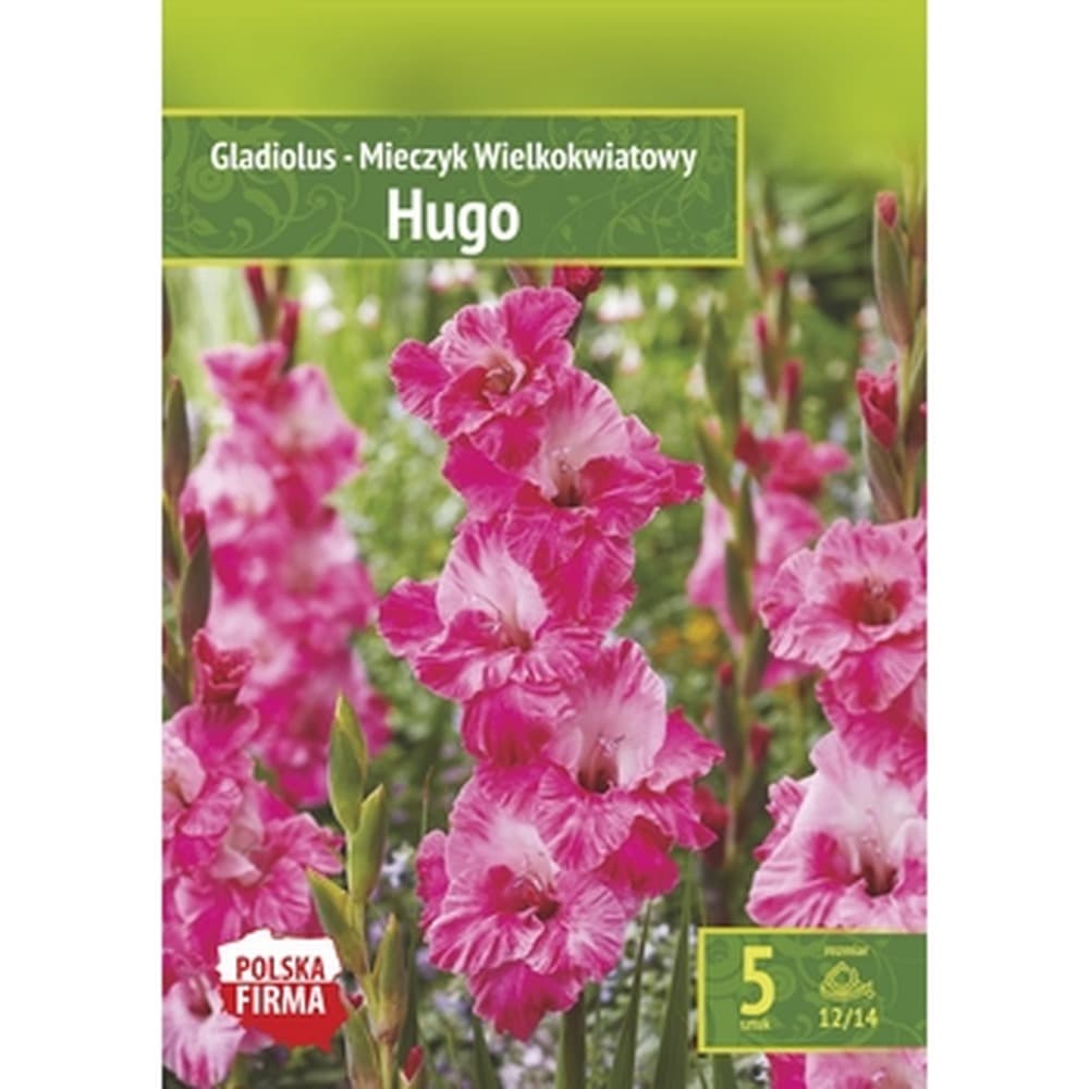 Mieczyk Hugo - kwiaty ogrodowe do sadzenia