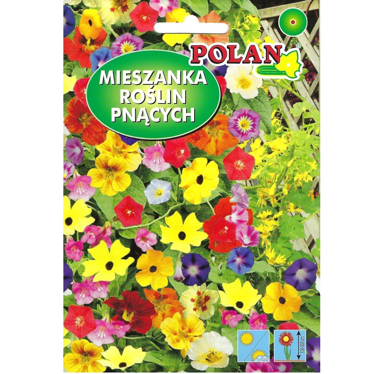 Mieszanka nasion roślin pnących do szybkiego okrywania