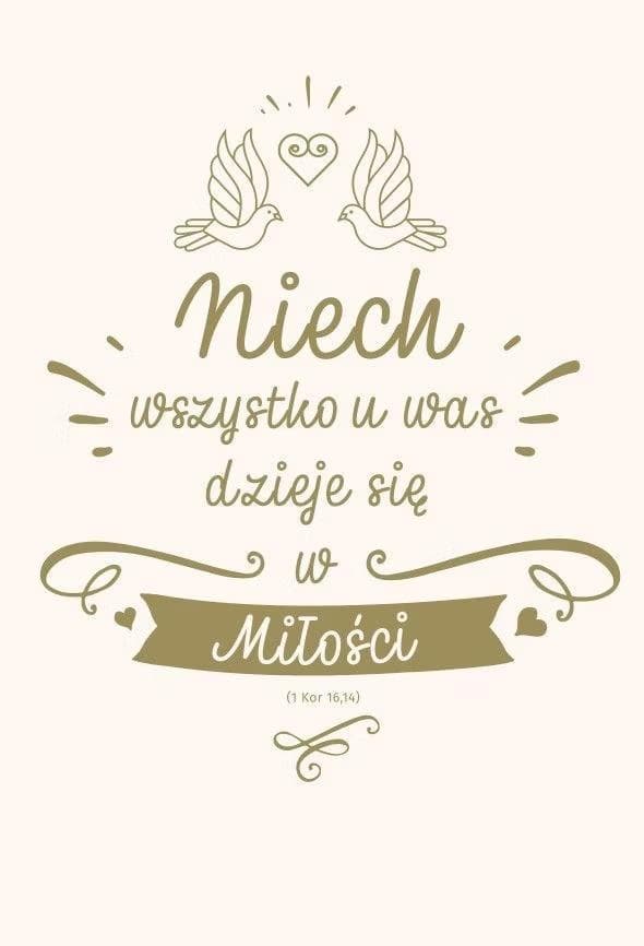 Nowy Testament z infografikami B5 srebrne tłoczenia edycja ślubna