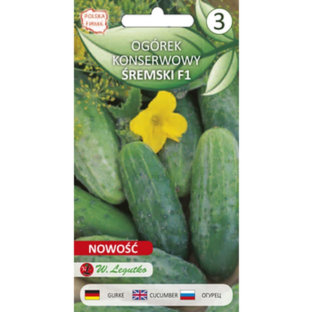 Ogórek gruntowy Śrem F1 Legutko