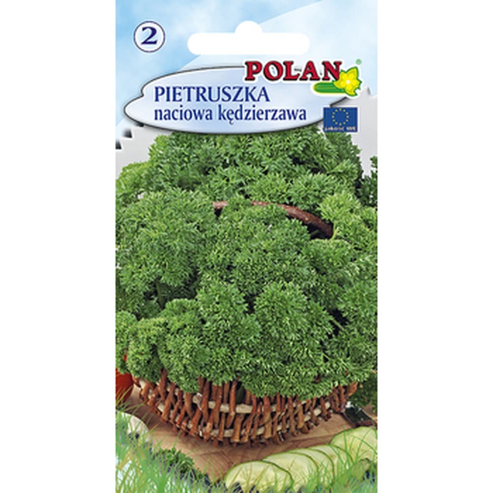 Pietruszka naciowa Moss Curled Polan średnio wczesna